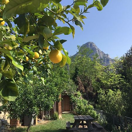 Bed and Breakfast Au Pied Des Baous Vence Exteriér fotografie